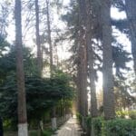 Farhana Ghulam Mohammad